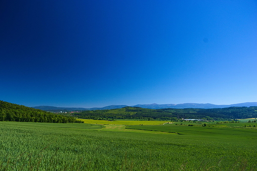 Widok z okolic Poszczynki