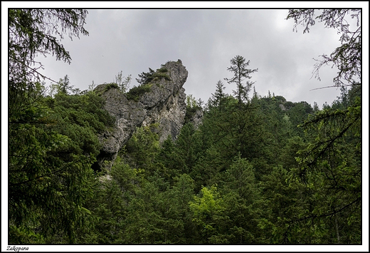 Zakopane -  idc ciek pod Reglami ...