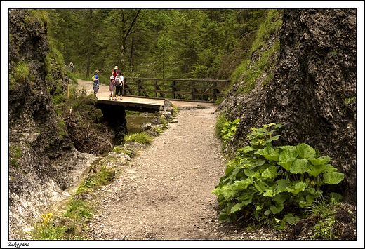 Zakopane -  idc Dolin Biaego ...