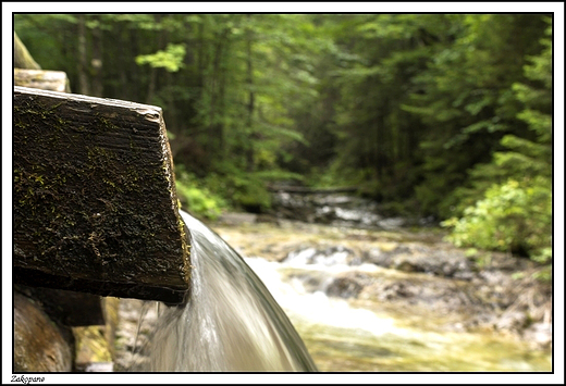 Zakopane -  idc Dolin Biaego ...