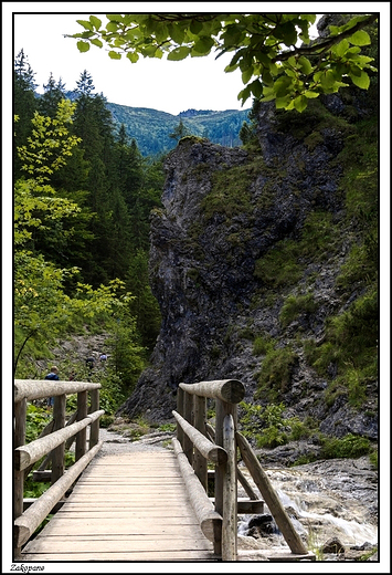 Zakopane -  idc Dolin Biaego ...