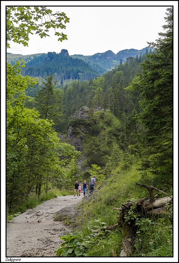 Zakopane -  idc Dolin Biaego ...