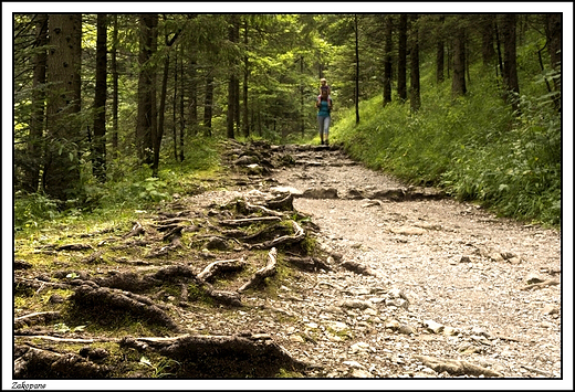 Zakopane -  idc Dolin Biaego ...