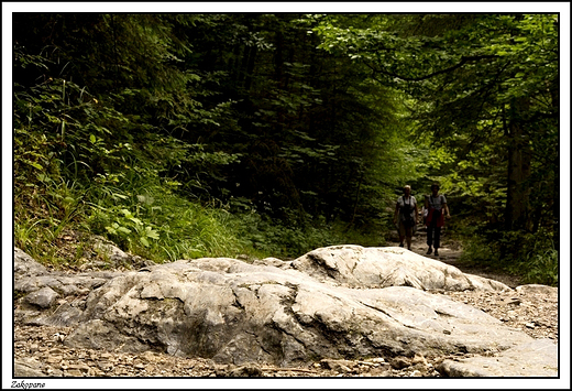 Zakopane -  idc Dolin Biaego ...