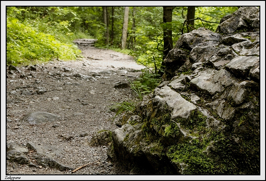 Zakopane -  idc Dolin Biaego ...