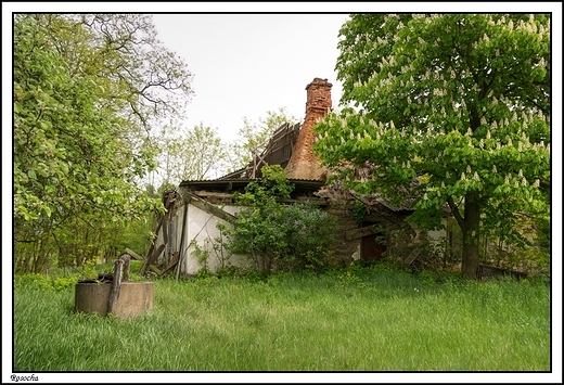 Rosocha - poolderski dom z darniowej rudy elaza _ ruina