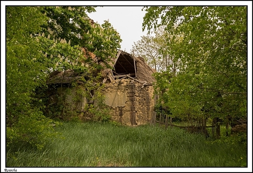 Rosocha - poolderski dom z darniowej rudy elaza _ ruina