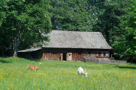 Orawski Park Etnograficzny w Zubrzycy Grnej.