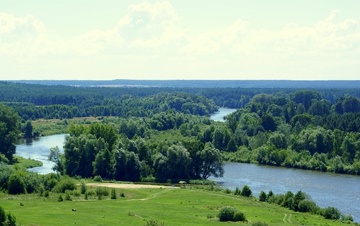 Przeom w Mielniku