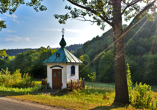 Kapliczka w Daliowej