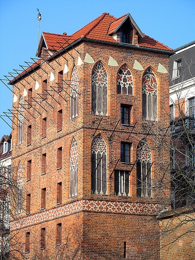 Najpierw gobie, potem ludzie