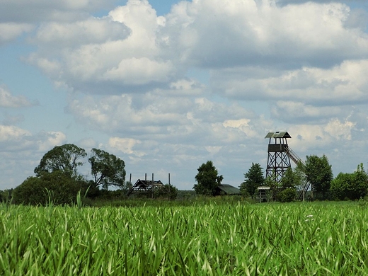 Biebrzaski Park Narodowy