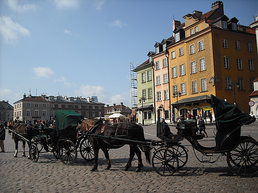 Warszawa. Doroki na Placu Zamkowym.