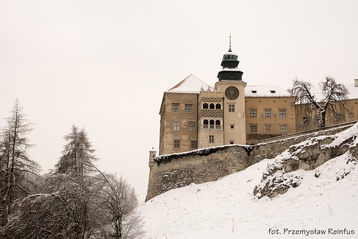 Zamek w Pieskowej Skale