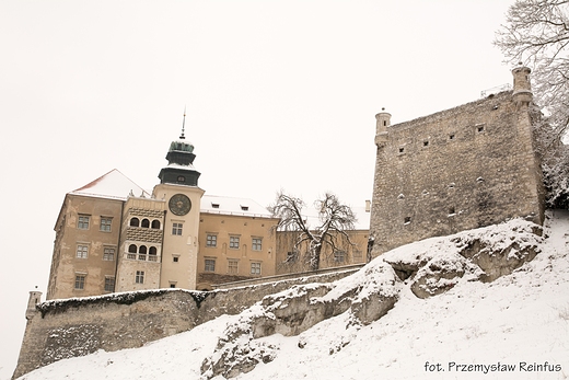 Zamek w Pieskowej Skale.