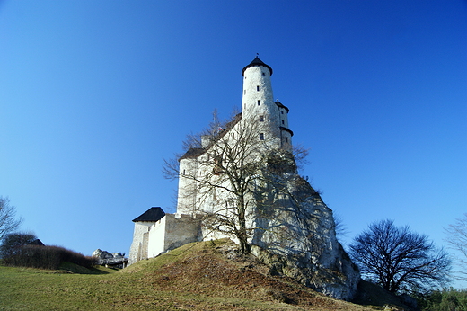 Bobolice