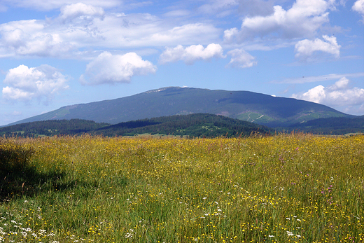 Orawa. Babia Gra widziana z Podwilka.