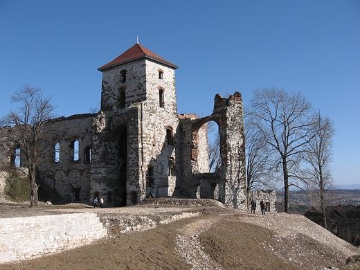 Zamek Tenczyn w Rudnie