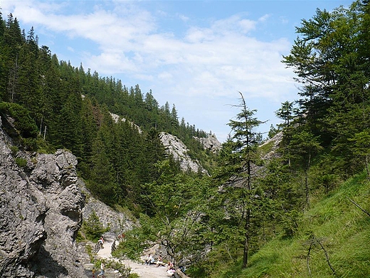 dolina Biaego