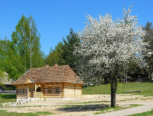 Skansen w Wygiezowie w Maopolsce.Rekonstrukcia chaupy.