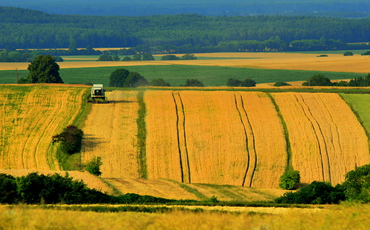 Czas zotych pl..