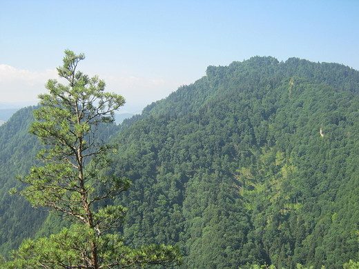 Pieniny