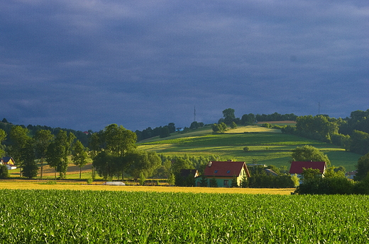 Zielone pola obok Stry