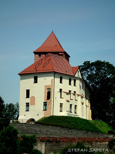 Muzeum i Zamek w Owicimiu