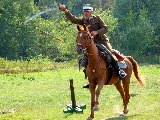 Memoria 2 Puku Strzelcw Konnych