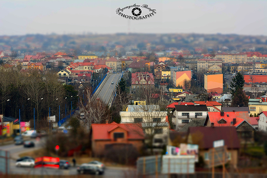 Widok z Czarnej Gry na Olkusz.