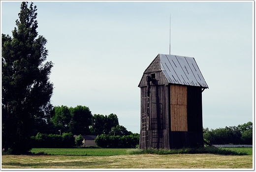 Wiatraki w Koszutach