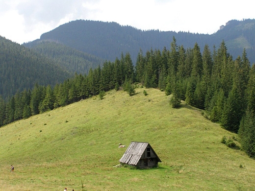 W drodze do schroniska PTTK na Hali Ornak