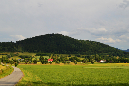 Paprotki - nad jeziorem Bukwka