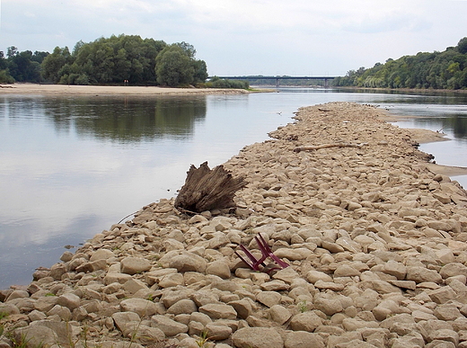 Ujcie Narwi do Wisy. Po lewej stronie Wisa, po prawej Narew.