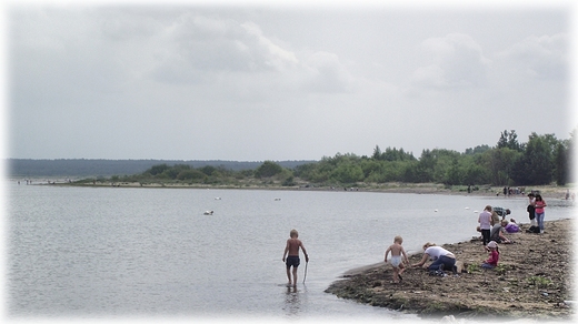 Mikoszewo- na prawym brzegu przekopu Wisy