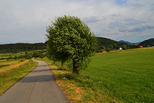 Paprotki - nad jeziorem Bukwka