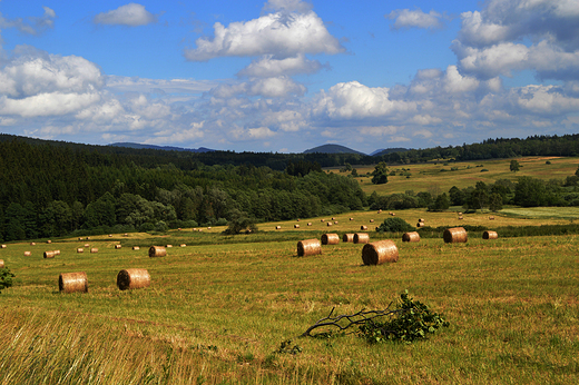 Kamienna Gra - Krajobraz po niwach