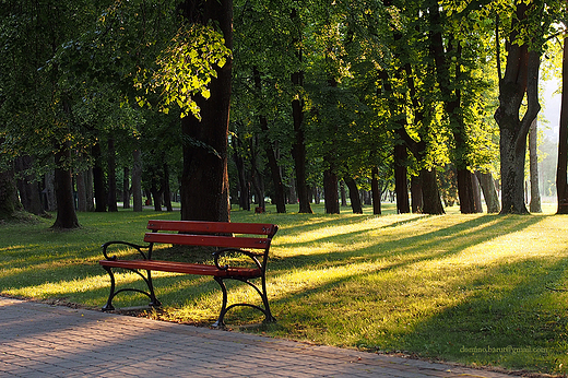 Park Zdrojowy