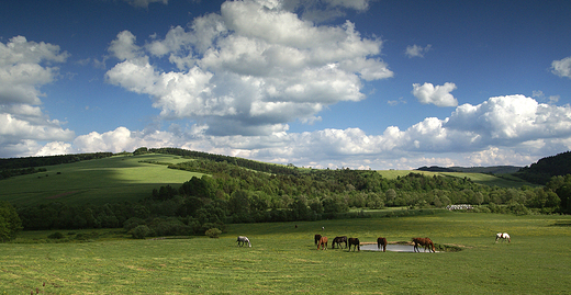 Bieszczady