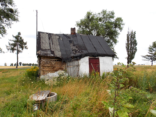 Chociszewo. Stary dom na polu.