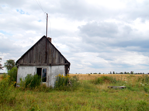 Chociszewo. Stary dom na polu.