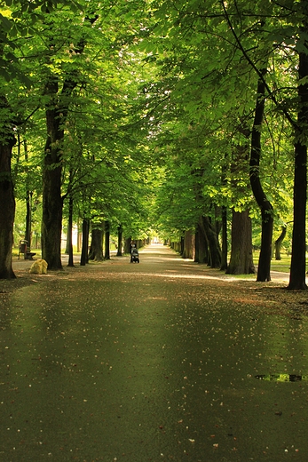 Park miejski im. Stanisawa Staszica w Kielcach