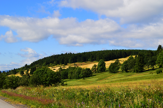 Rdziny - widok  z przeczy rdziskiej