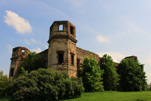 Zamek w Piekoszowie