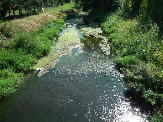 Rzeka Krpianka