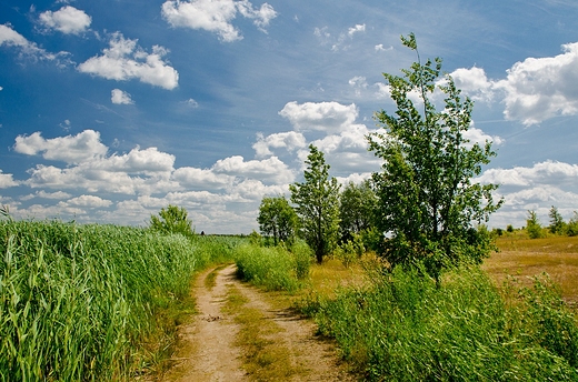 Letnie klimaty.