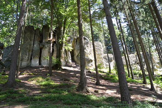 Gorzeszw - Gazy Krasnoludkw