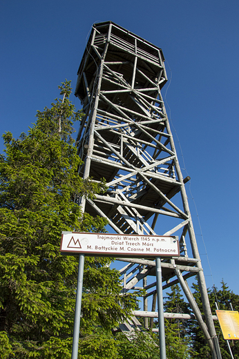 Wiea widokowa na szczycie Trjmorski Wierch