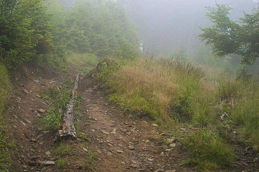 Mglisty szlak na Radziejow