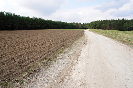 Polna droga. Bizorenda